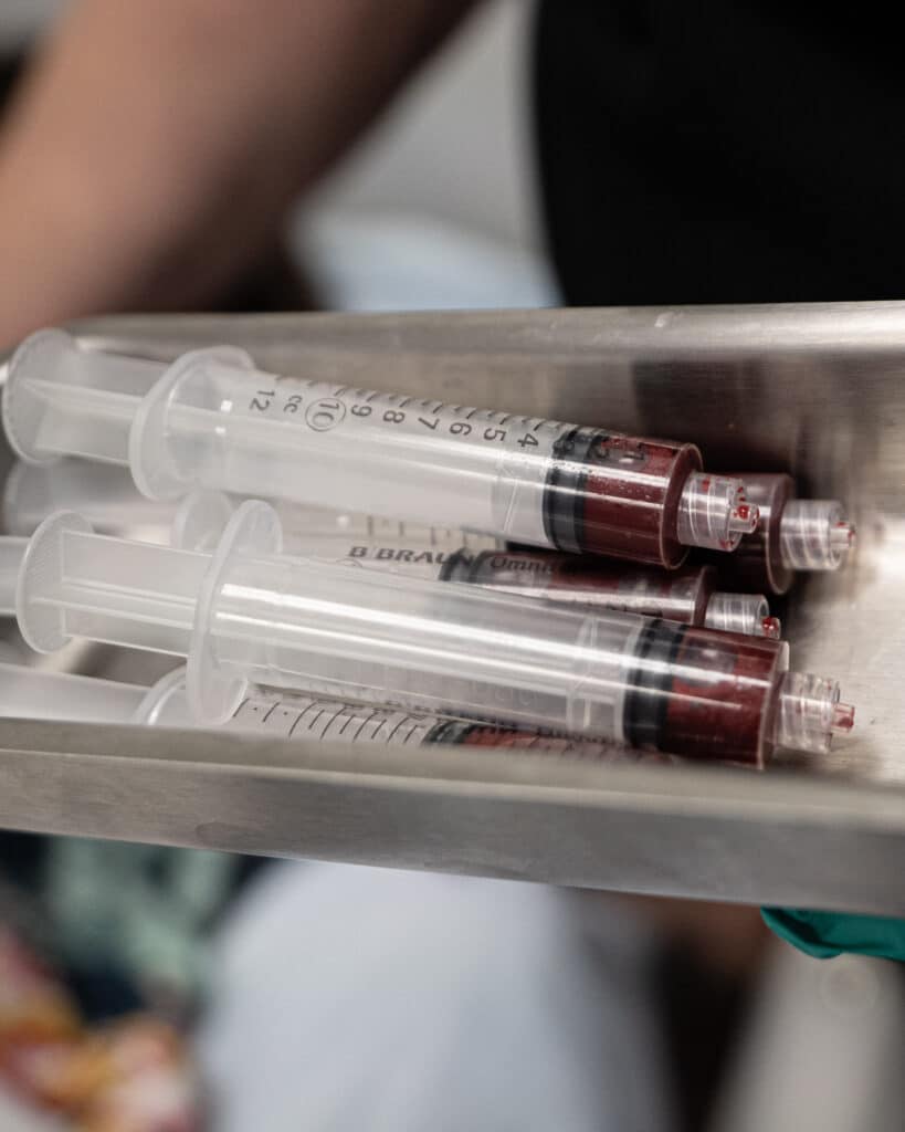 Home 2026 11 Syringes filled with blood lying in a steel tray
