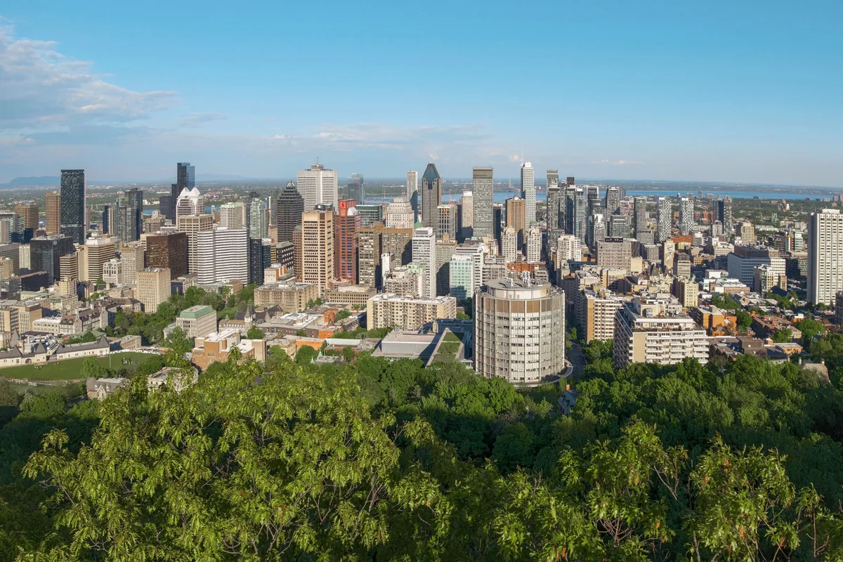 Downtown montreal skyline above a line of trees